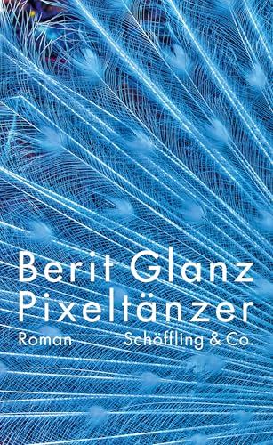 Pixeltänzer: Roman (German Edition)