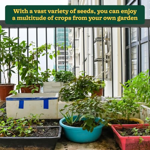 Image of Seedbazar 50 Variety Vegetable Seeds Combo Pack - 2000+ Seeds | Organic & Hybrid Mix for Home Gardening | All Season Kitchen Garden Kit for Balcony, Pots, Patio & Terrace