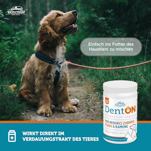 VITAR Veterinae Zahnpflege Hund - Zahnsteinentferner Hund, DentON Dental Pulver für Hunde 50g, Entfernt Plaque, Auch für Katzen geeignet, Mundpflege gegen Mundgeruch, mit der Alge Ascophyllum Nodosum