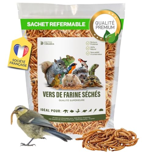 Detox Organica vers de Farine Séchés [160g=1000ml, Qualité Premium ] Friandise Oiseaux, Hérissons, Tortues, Reptiles, Poissons, Rongeurs – Animaux Sauvages, Compagnie | 100% Naturel, sans additifs