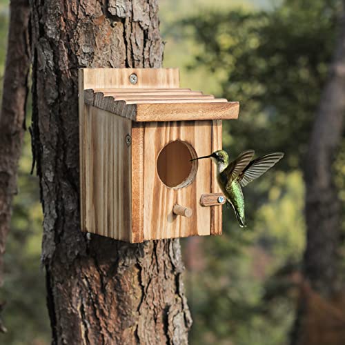 Humming Bird Houses For Outdoor Hanging Small Bird Nesting Box - Wood Nest For Robin, Hummingbird, Parakeet, Bluebird - Perch House For Outdoors Birdhouse Birds - Made Of Pine Wood #TOP1