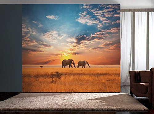 Scenolia Tapisserie Déco Poster ANNÉES 70 3 X 2,70 M | Déco Et Photo Murale XXL Qualité HD