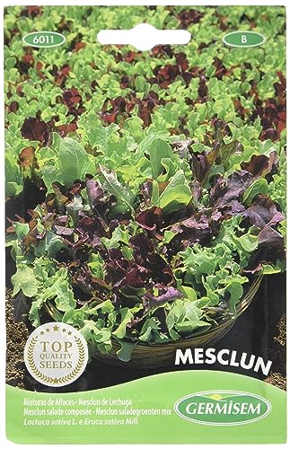 Germisem Mesclun Semillas de Ensalada Mix 4 g
