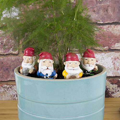 Gnomes pot de fleurs multicolore GR450112 déco jardin intérieur