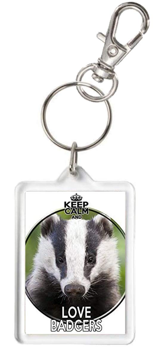 Kazmugz Multicolor Badger Keyring, Keep Calm And Love Badgers Keyring. Exclusive Kazkeyz Design.