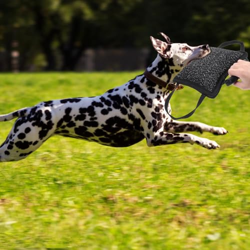 BESPORTBLE Hundebisskissen Aus Jute Widerstandsfähiges Beißkissen Für Hunde Mit Griffen Interaktives Training Spielzeug Für Welpen Und Hunde Für Zerr Tauziehen