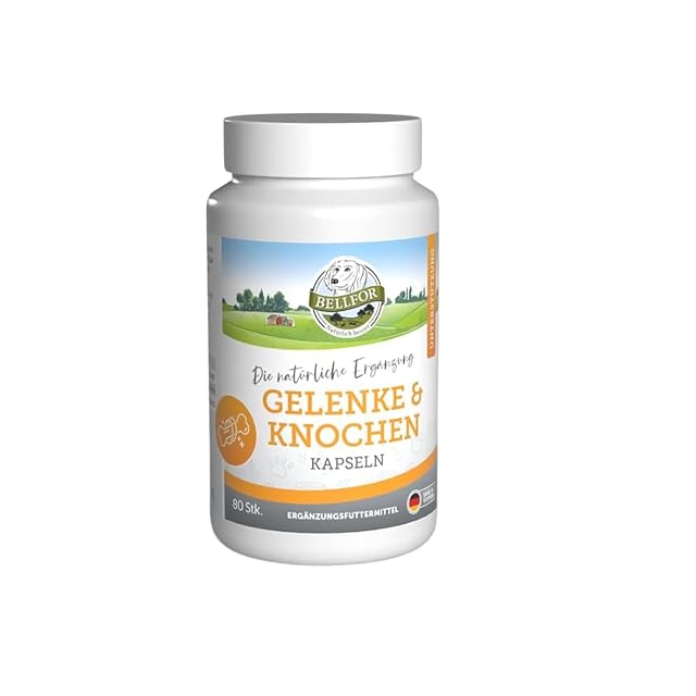 Bellfor suplemento Articular para Perros con glucosamina, condroitina, colágeno y Ovopet