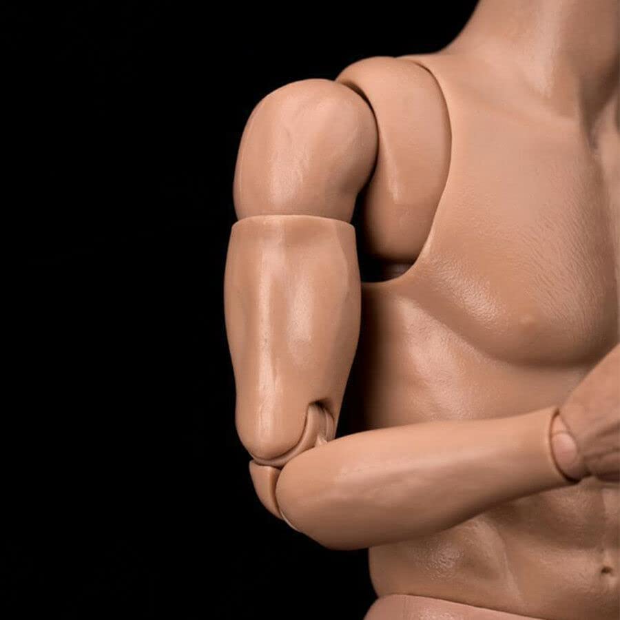 Amazon.co.jp: 12インチアクションフィギュア 男性の体型モデル 筋肉