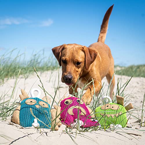 Minifeet Hundespielzeug Monster - Das spielerische Geschenk für aktive Hunde und ihre Herrchen oder solche die es werden wollen