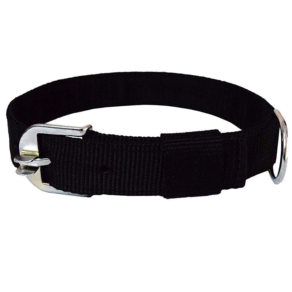 Sage Square Adjustable Double Strip Collar for Medium Dog/Cat/Puppy/Kitten (Random Colour, 1.25 Inches) (B07PMKFBBF) Amazon Price History, Amazon Price Tracker