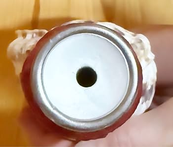 法螺貝　ホラガイ　ほら貝　ミニ　24㎝‼️ 美品 Amazon.co.jp: ミニ法螺貝 ほら貝 ホラガイ : 食品・飲料・お酒