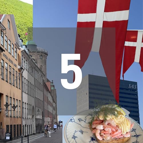 エピソード５： デンマークに到着！