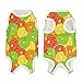 Citrus of A Slice of Lime Orange Recovery Suit for Dogs Cats Dog Recovery Suit Fit Female and Male Spay Pets Pet Surgery Suit