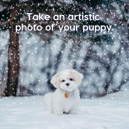 jdr 800w snow machine wireless remote control auto mode portable foam machine for partiesoutdoor kids wedding stage effect indoor christmasparades snowflake maker with fuse protection