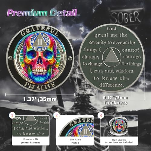 rainbow skull 2 year sobriety coin - grateful i39m alive aa coins - recovery addiction na aa chips and medallions - 1-10 years living clean narcotics alcoholics anonymous gifts for men women