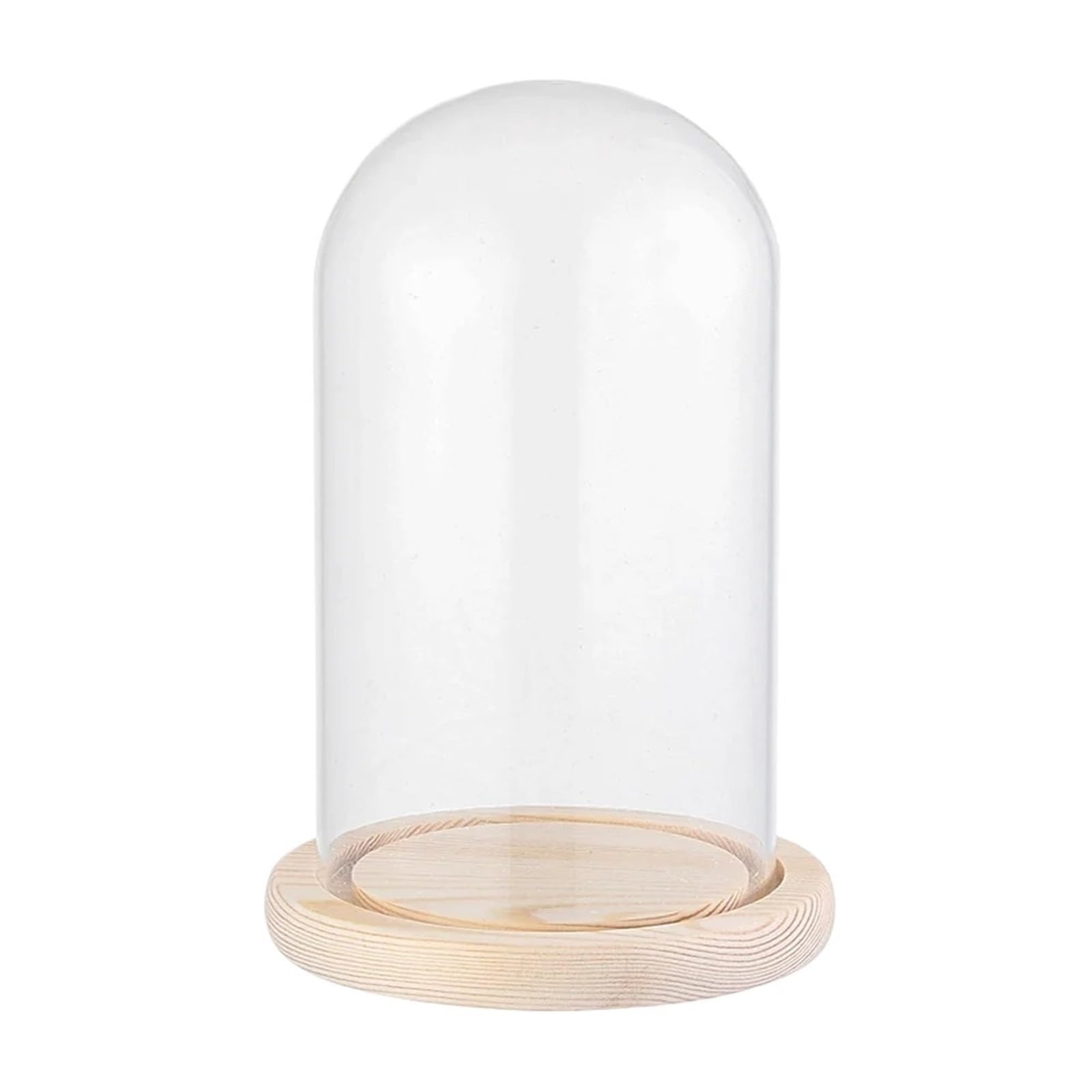 WYQXTY Clear Glass Cloche Display Glass Cloche Dome Display Dust Cover Wooden Base Multiple Sizes 2 Pcs(10x19cm)