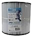 Unicel C-9650 Spa Replacement Filter Cartridge CFR 50 Sq Ft PJ50 FC-1460