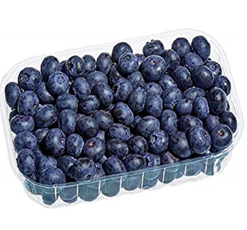 Bio-Heidelbeeren-300-g