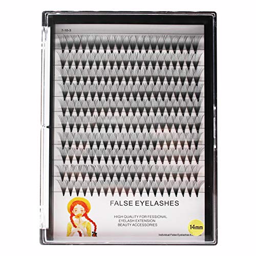 Dedila Large Tray -Grafting Natural Long Individual Lashes 20Roots Soft Light Cluster Lashes D Curl Makeup Premade Fans Volume False Eye Lashes (13Mm) #TOP16