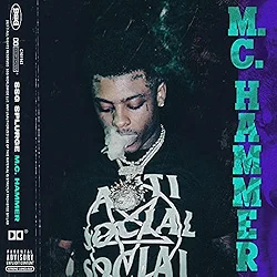 M.C. HAMMER