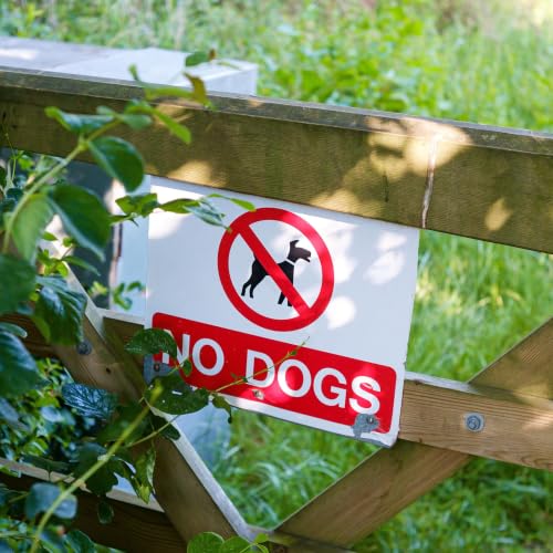 No‑Pet Clauses | Nurse Shortage | Multigenerational Homes | What Dumb Thing Did You Do As A Kid?