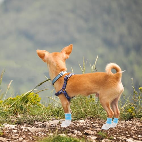Bottes pour Chien Imperméables pour activités extérieures - 8