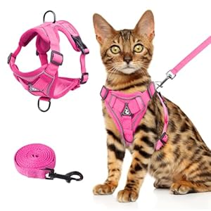 Wanheart Summer cat Chest Harness and Leash, Anti-Escape Adjustable Soft mesh cat Leash and Chest Harness Set for All Types of Cats cat Vests (Rose red, L)