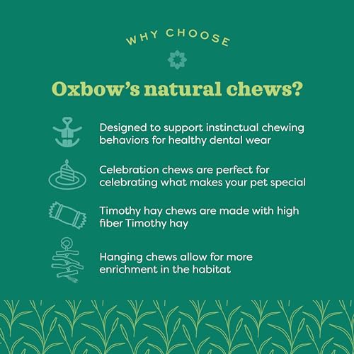 Oxbow Timothy Hay Hide & Seek Mat, Small – Rabbit & Guinea Pig Toys for Chewing & Relaxation, Enrichment for Bunny, Hamster, Chinchilla, Rat, Timothy Hay Small Animal Cage Accessories - Thumbnail 4