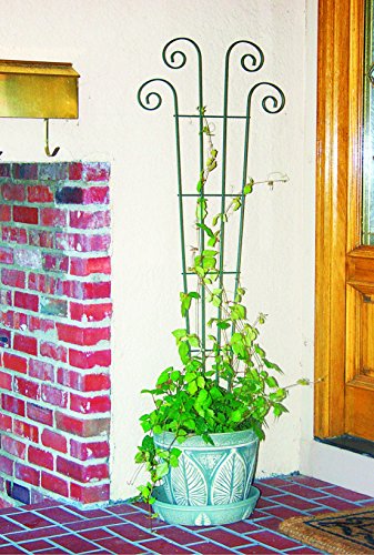 Panacea Trellis 3/8 " X 16 " X 48 " Round Steel Black #TOP20