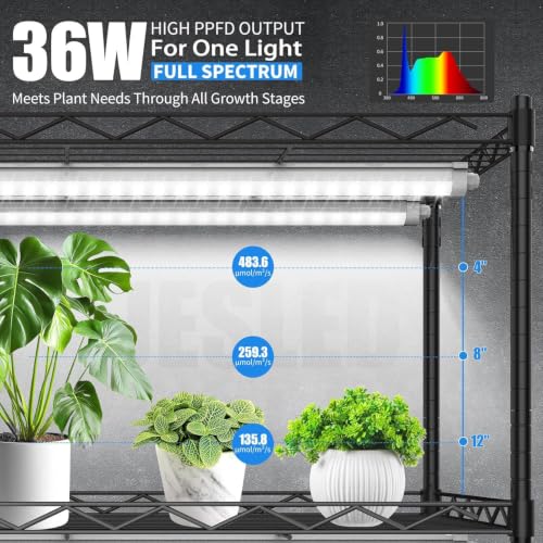 JESLED Indoor Greenhouse with Grow Light, 35.4x13.8x70IN by JESLED - Image 2