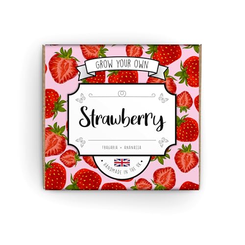 Grow Your Own Strawberry Kit - Complete Beginner Starter Kit | Easy Instructions | Made in UK | Perfect Gardening Gift for Any Occasion | Wimbledon Gift | Kids Plant