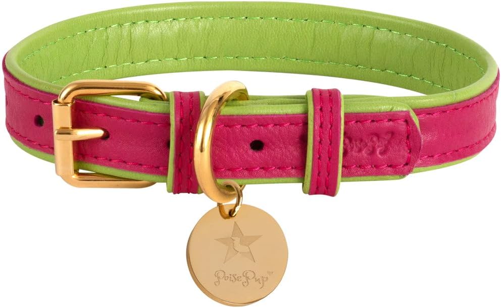 POISEPUP Genuine Leather Collar with Buckle for Dogs - Handmade, Adjustable & Soft - Orange | Blue - XSmall (7.1-9.5 in)