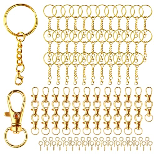 Anneau Porte Clé Attache Porte avec Chaîne Mousqueton Clé Lot Crochet Porte Clef Kit Boucle Keychain pour Diy Bricolage Bijoux Support Perle Porte Clé Sacs Décor...