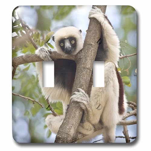 Madagascar Sifaka Lemur double interrupteur à bascule décoratif faune
