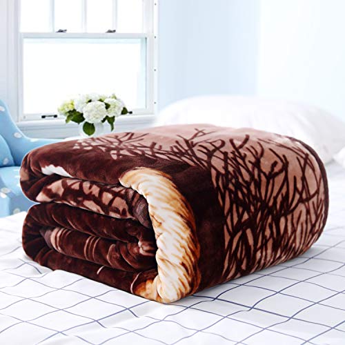Tiger Mink Blanket - Heavy Queen Size Animal Throw for Warmth