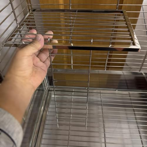 Image of Stainless Steel Bird Platform & Climbing Ladder Set (1 Platform + 1 Ladder) - Durable, Washable Cage Perch for Parakeets, Cockatiels, Conures (S)