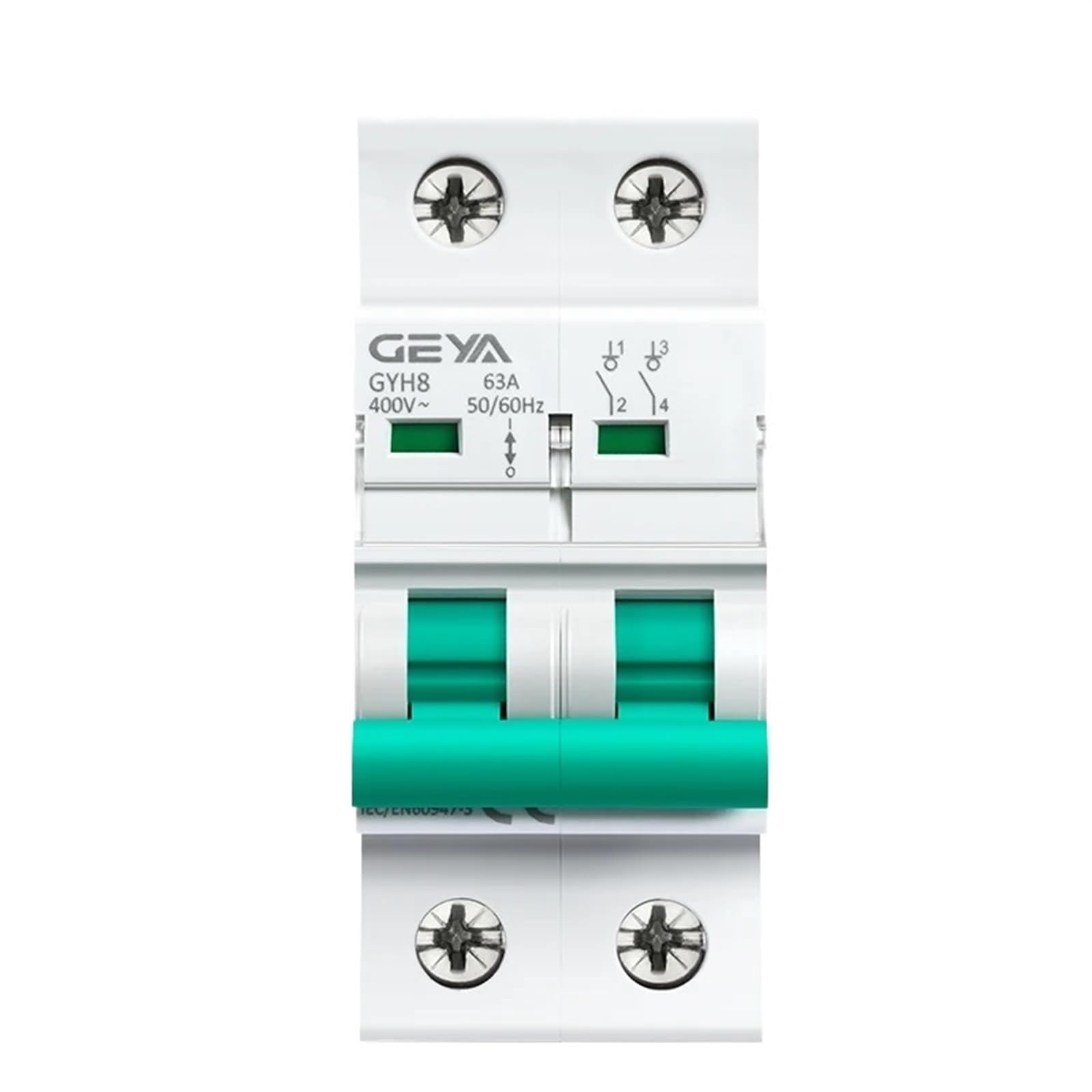 Interruttore principale su guida Din a 2 poli Sezionatore Sezionatore Interruttore automatico 400VAC DP Breaker GYH8(100A)