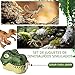 Imagen de LUKIUP Juego de 46 Juguetes de Dinosaurios