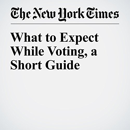 What to Expect While Voting, a Short Guide cover art