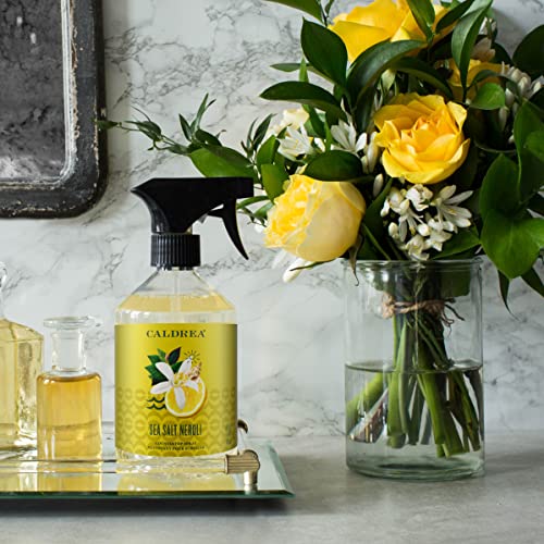 Caldrea Multi-Surface Countertop Spray Cleaner, Made With Vegetable Protein Extract, Sea Salt Neroli Scent, 16 Oz #TOP4