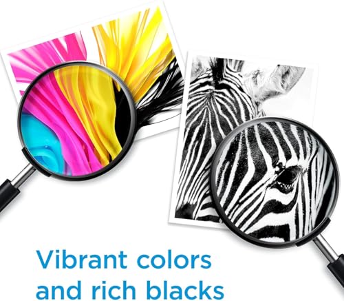 Image of HP 62XL Blk /62 CMY Original Ink Bundle for Envy 5540 /7640, OfficeJet 5740