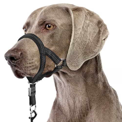 BARKLESS Sturdy No Pull Head Collar for Medium Large Dogs, Gentle Reflective Head Halter with Safety...