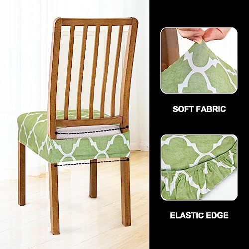 Image of Set of 4 Stretchable Dining Chair Covers, Universal Fit Washable Seat Slipcovers for Dining Room & Home Decor (Green Panel)