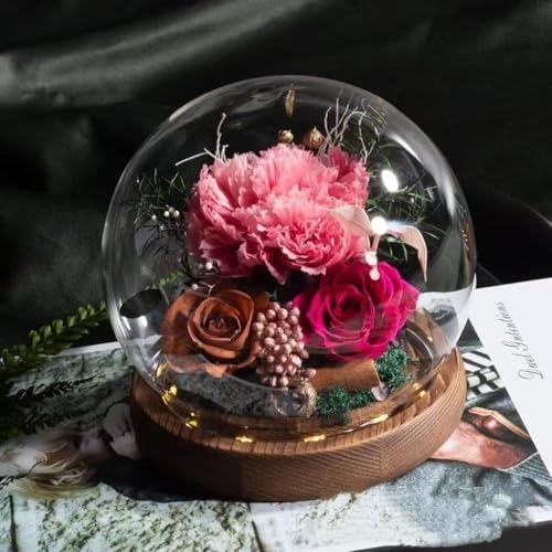 �v���U�[�u�h�t�����[ �K���X�h�[�� �i���̉� LED���C�g�t�� �o�� �h���C�t�����[ �J�[�l�[�V���� �t�����[�A�����W �͂�Ȃ��� �Ȃ֒a���� ������ �V�z ���j�� �������� ��̓� �v���|�[�Y �M�t�g (D) [���s�A���i]