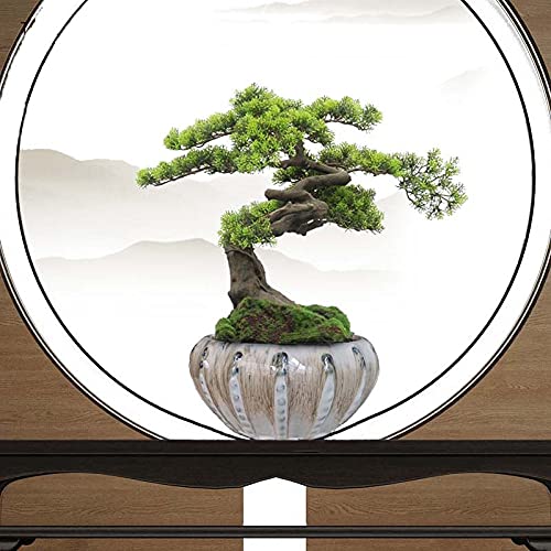 Fowargif 8Inch Large Ceramic Succulent Pot Bonsai Pot,Ceramic Pot For Small Banyan,Cactus Pots,Ceramic Plant Pot For Orchids (Ivory Wheat)… #TOP3