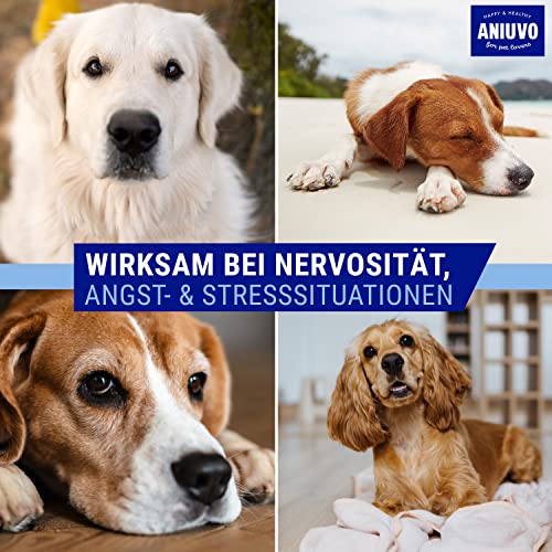 ANIUVO® Relaxtabletten [90 Stück] Natürliches Beruhigungsmittel für Hunde mit Baldrian, Hanfpulver, Taigawurzel & Magnesiumgluconat - Hunde Beruhigungsmittel gegen Stress & Angst - Made in Germany