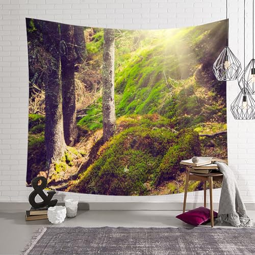 Tenture murale grand format 350x256 cm pour masquer les murs - 4