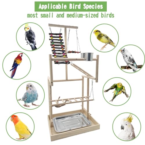Hamiledyi Parquinho grande de 4 camadas para pássaros 81,28 cm de altura para animais de estimação P