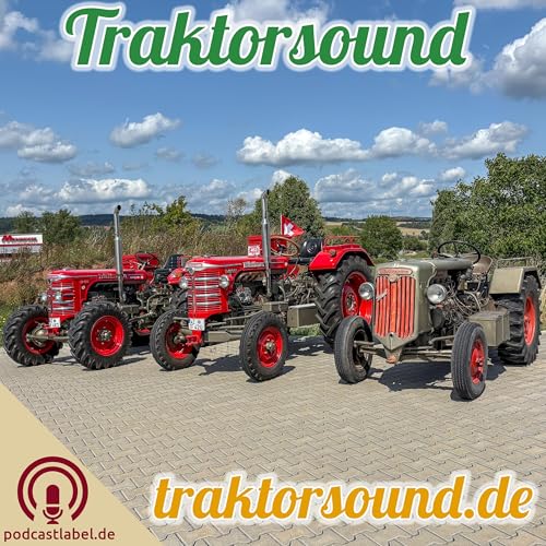 TS: #31 - Retze Ruure Traktor - Hürlimann D-100 & D-100 'S' & D-95