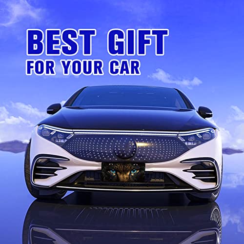 Leopard Blue Eyes License Plate Cover Leopard Animal License Plate For Car Personalise Decoration Stainless Steel Vanity Tag Funny License Plate Frame Fits Standard Us Holder 6.2" X12.2 For Women Men #TOP6